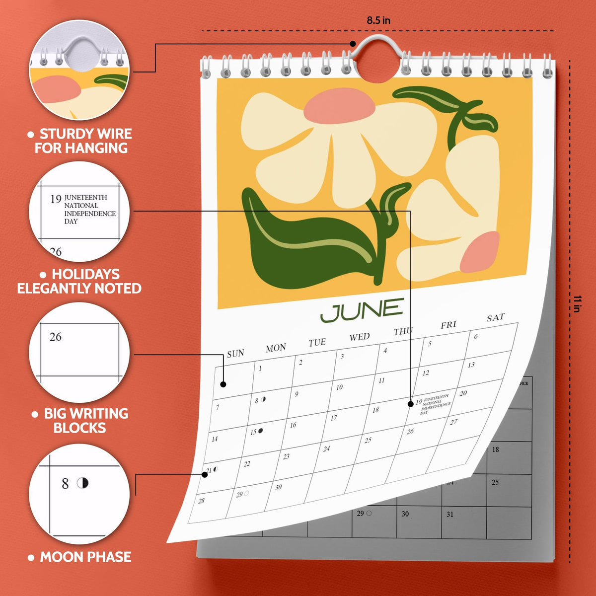 May include: A wall calendar featuring a floral design with the month of June displayed. The calendar has a sturdy wire for hanging and measures 8.5 x 11 inches. It includes holidays, big writing blocks, and moon phases.