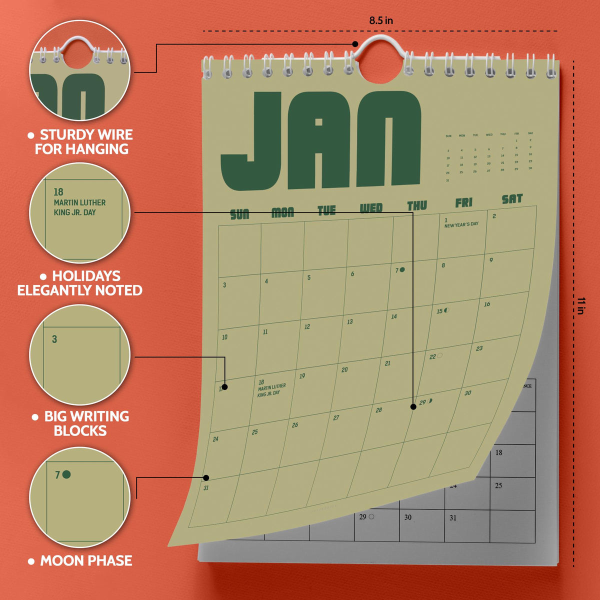 May include: A wall calendar measuring 8.5 inches by 11 inches with a light olive green background and dark green text. It features a white wire binding for hanging, large daily writing blocks, marked holidays like Martin Luther King Jr. Day, and moon phases.